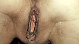 yo wife lets stranger pound her tight ass hole