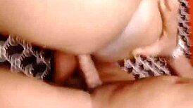 sundaydogood614 shares october update with fresh vid from early afternoon