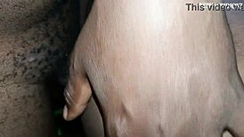 Come feel our African couple pounding ass close-up before bed